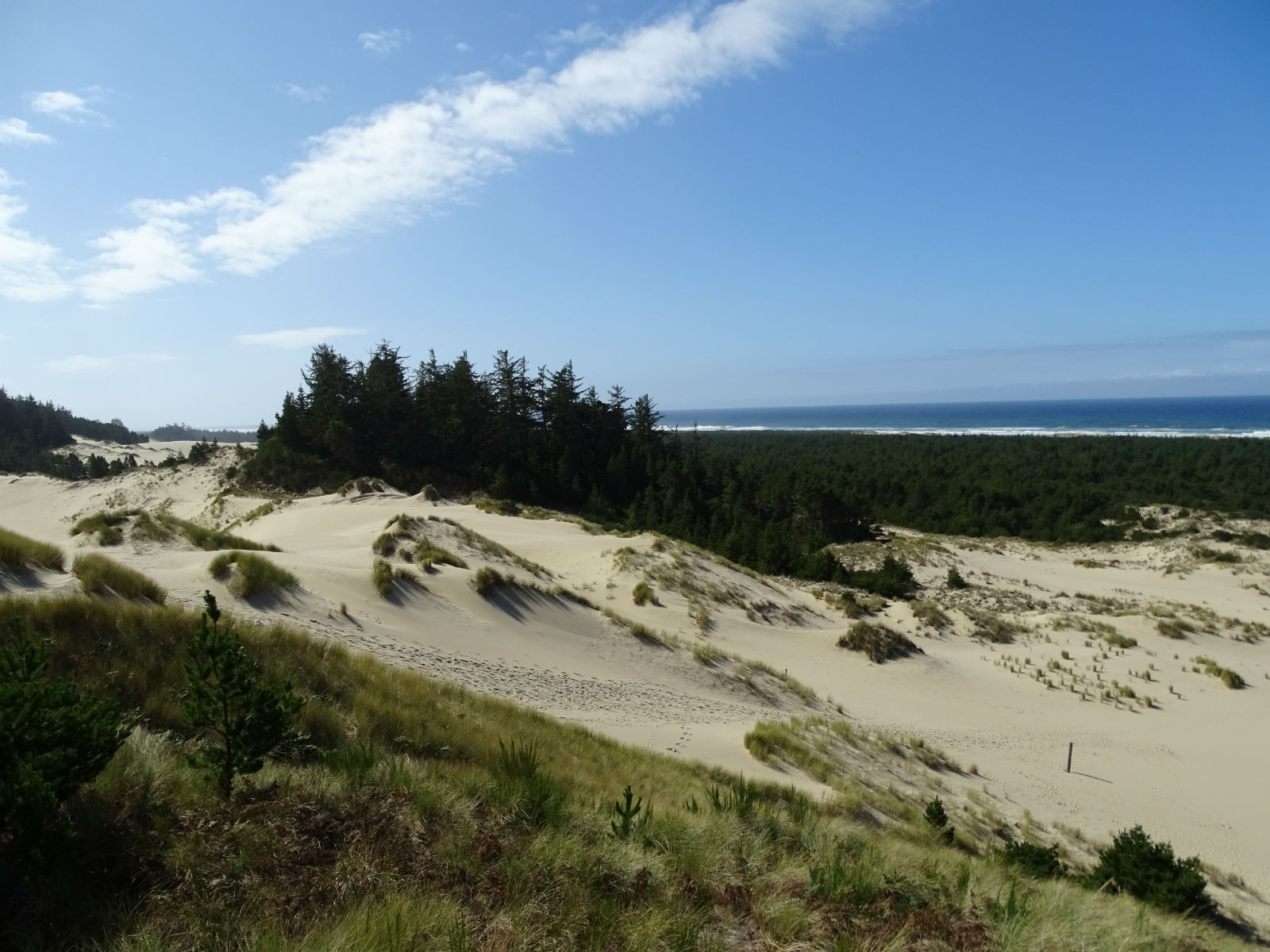Oregon Dunes Recreation Area
