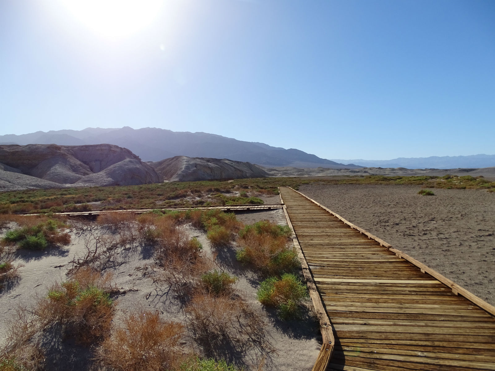 Salt Creek - Death Valley