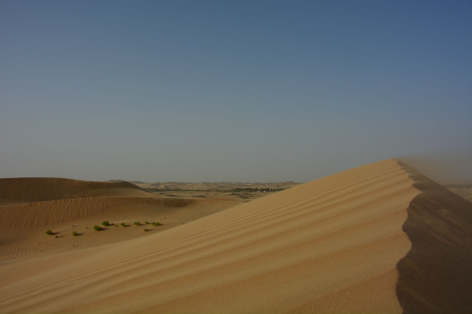 Liwa-Wüste bei Abu Dhabi