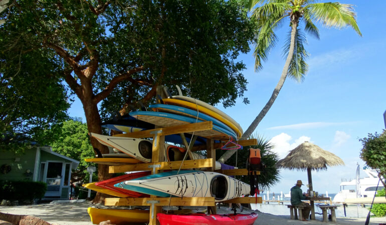 Finde Dein Florida – Abenteuerliche Kajaktour durch den Mangrovenwald