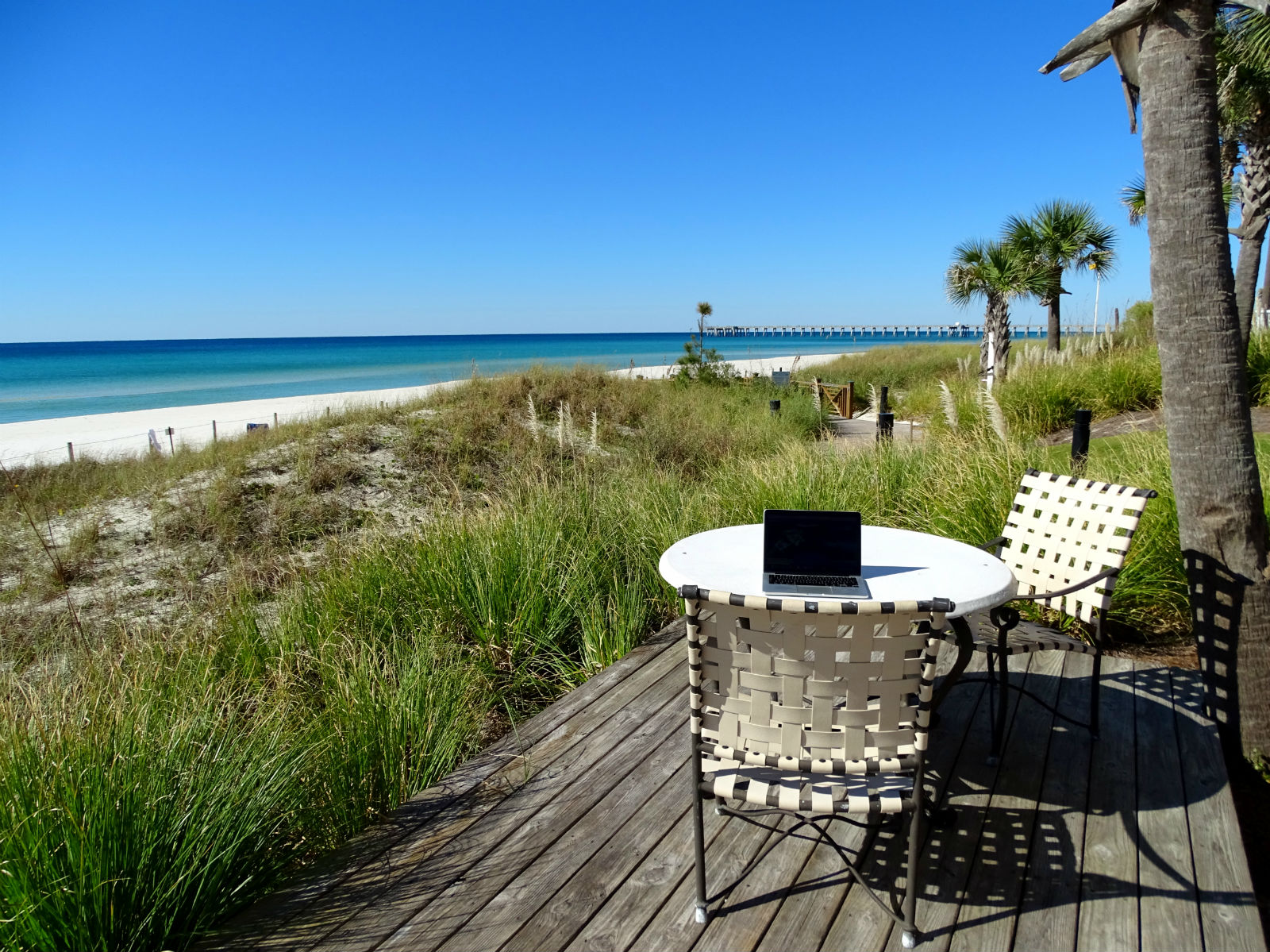 Finde Dein Florida Kajaktour Durch Den Mangrovenwald