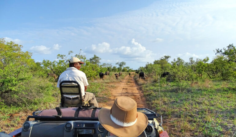 Tintswalo Safari Lodge – Einmalige Luxus-Safari im Krüger Nationalpark Südafrika
