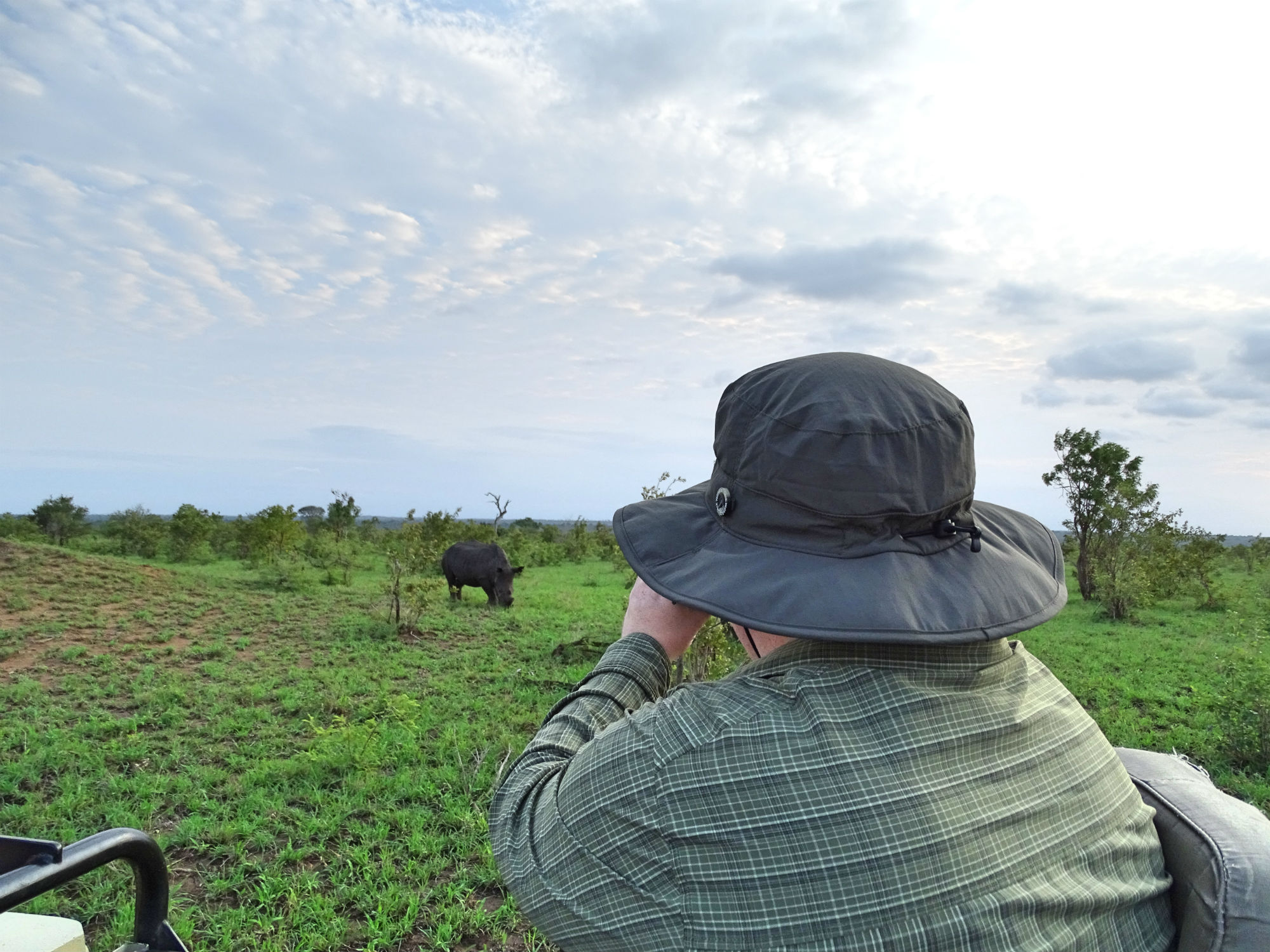 Auf Safari im Krüger National Park