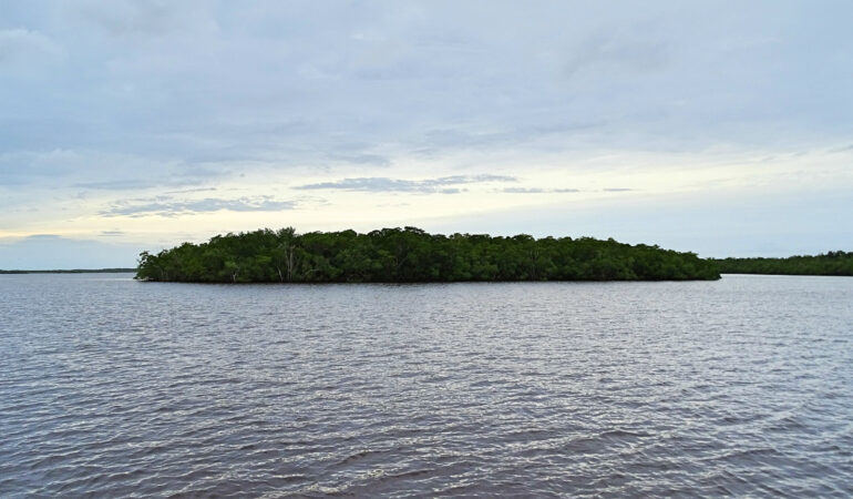 Everglades Teil 2 – Airboat-Tour, Swampbuggy und Ten Thousand Islands