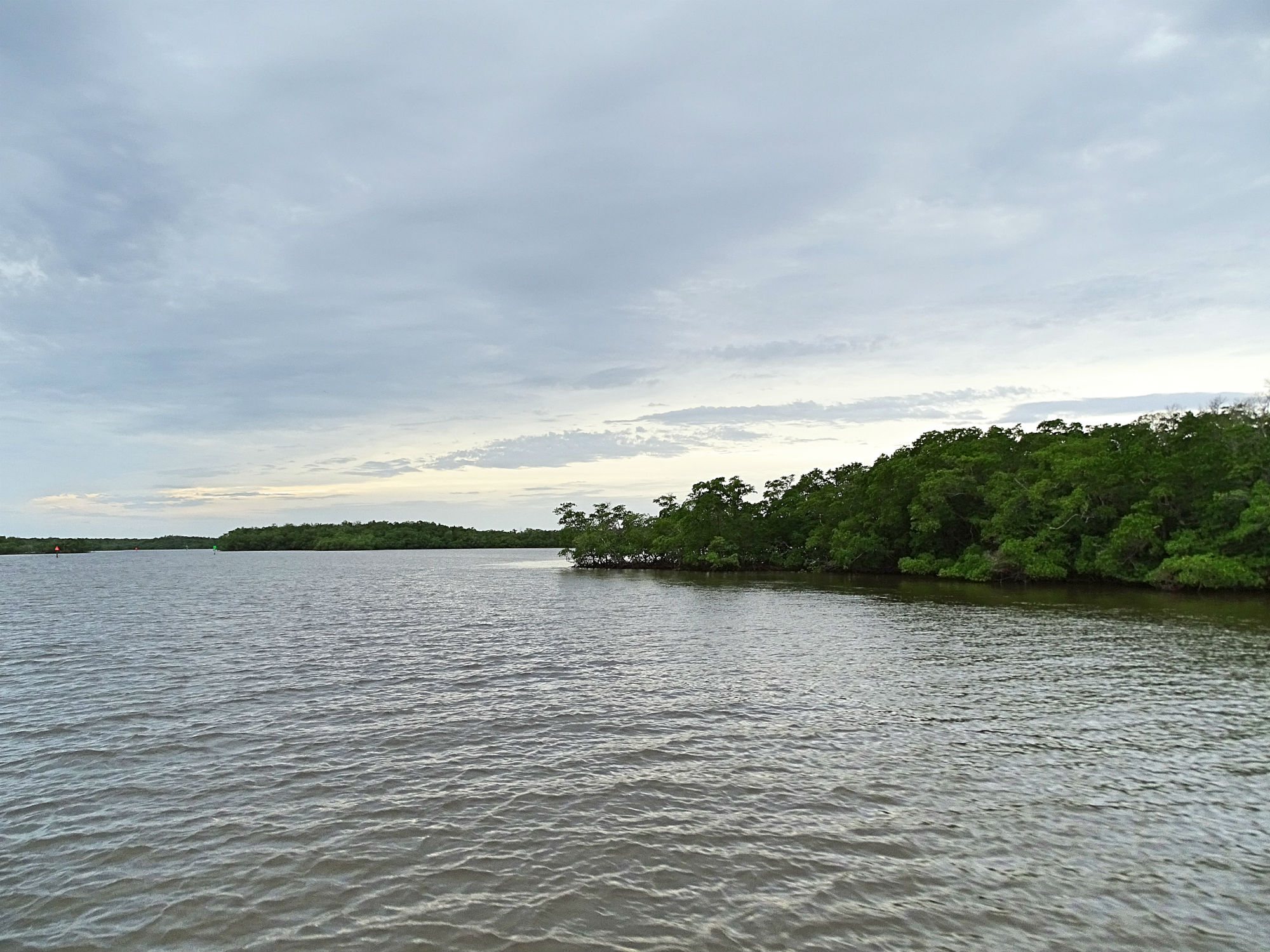 Ten Thousand Islands Airboat Tour Ten Thousand Islands Airboat Tour