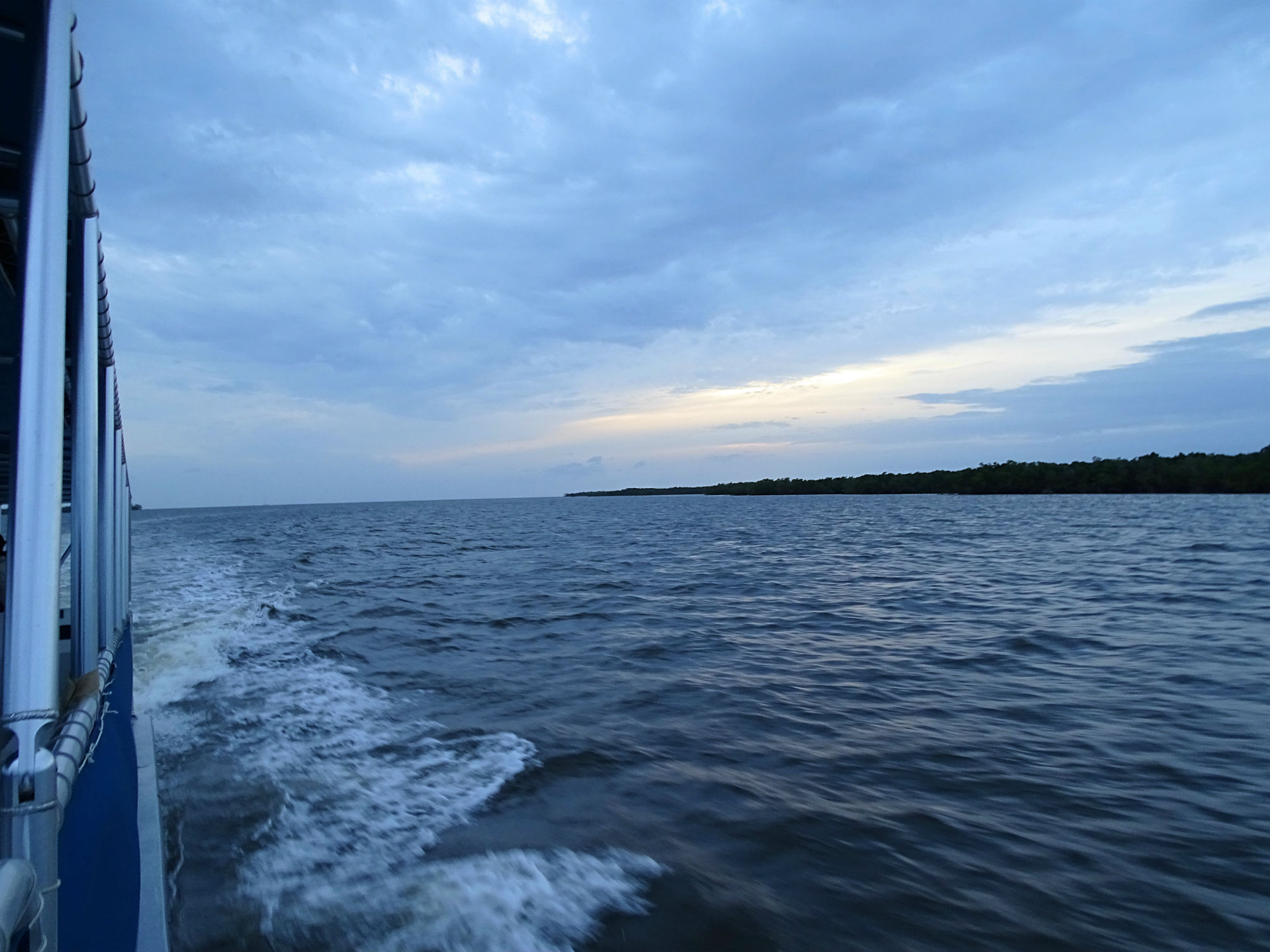 Ten Thousand Islands Airboat Tour Ten Thousand Islands Airboat Tour