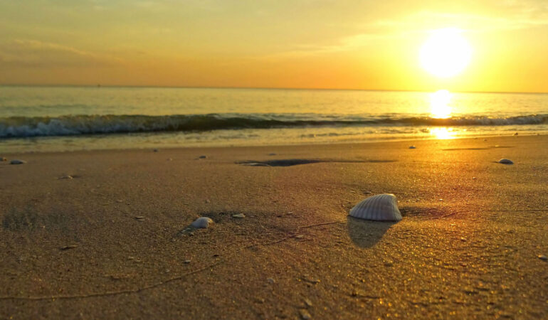 Sanibel Island, Captiva Island – Muschelstrände und einmalige Sonnenuntergänge