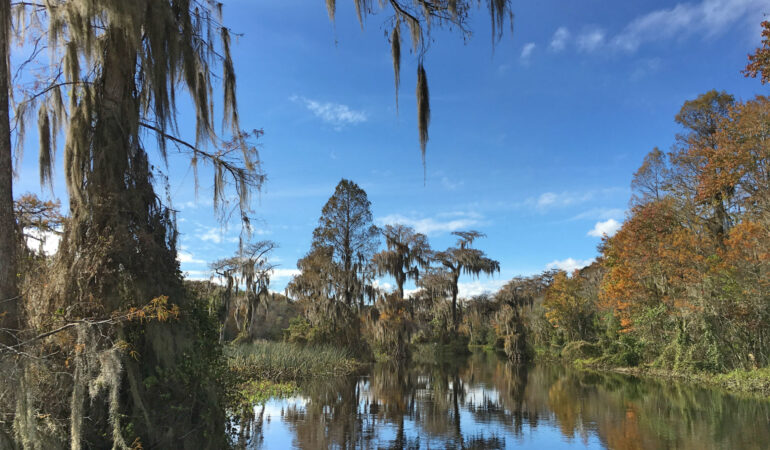 Tallahassee und Wakulla Springs State Park, Florida – Oase aus Sumpfzypressen und Spanischem Moos