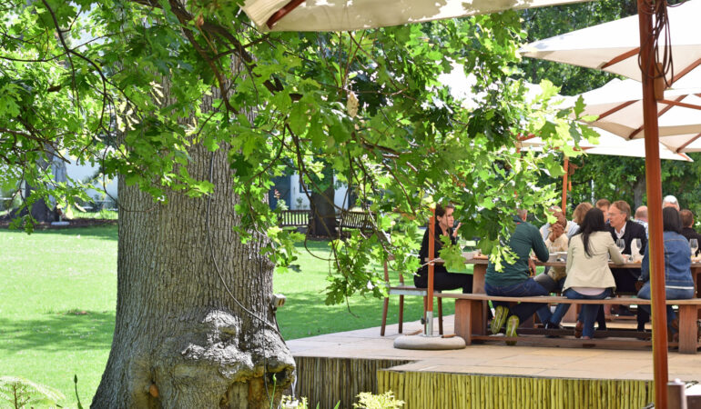 Constantia – Idyllisches Weingebiet in Kapstadt mit Groot Constantia, Alphen Hotel und Ausflugstipps