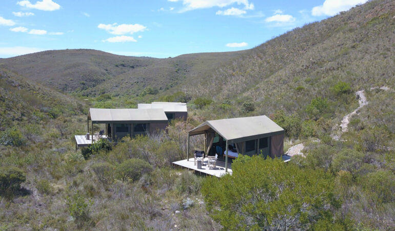 Gondwana Tented Eco Camp, Südafrika – Das Game Reserve aus Ranger-Sicht erleben