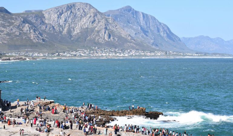 Südafrika – Hermanus Whale Festival, Gansbaai, M Hotel Onrus & Walker Bay