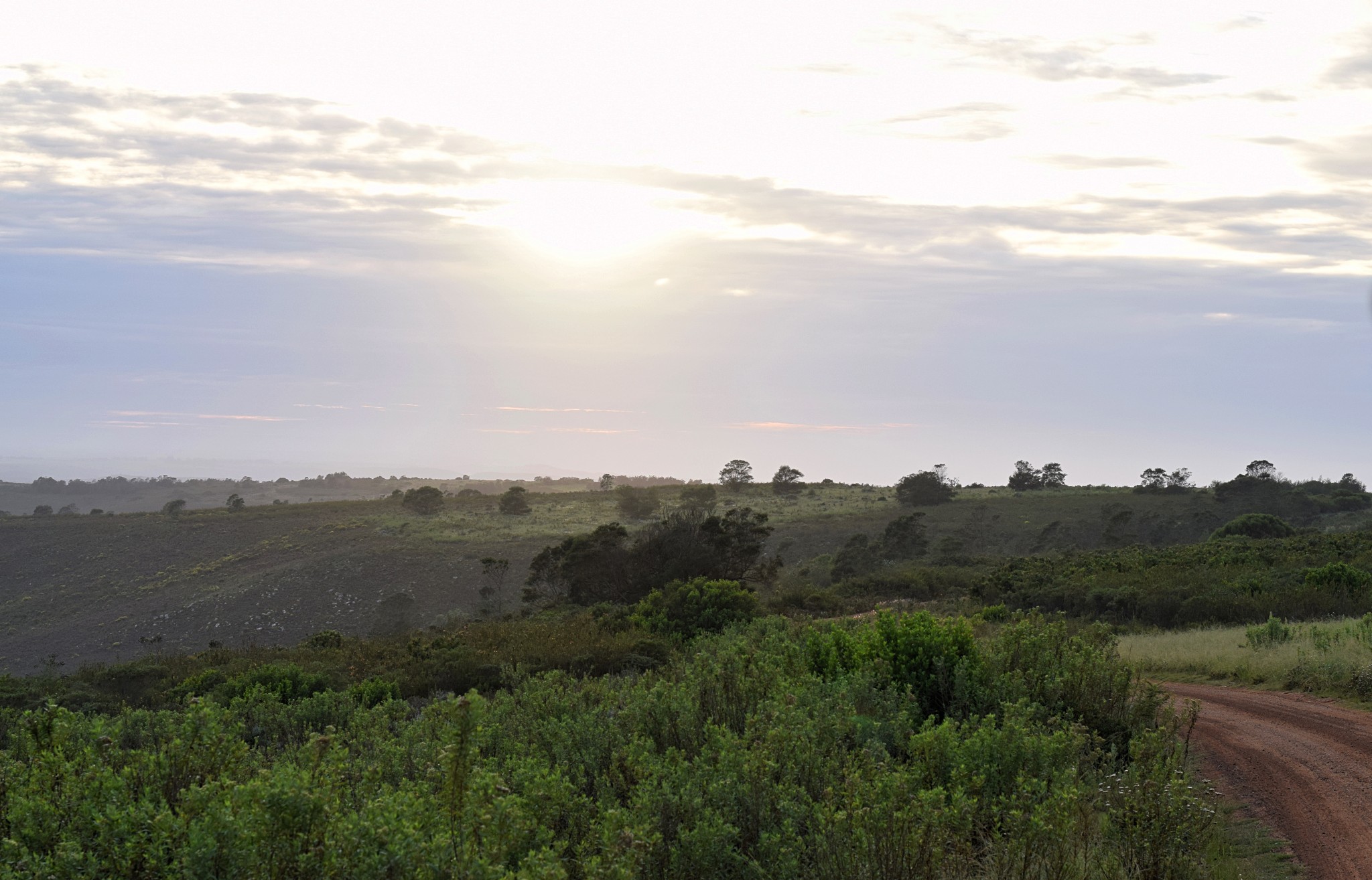 Morgenstimmung im Gondwana Game Reserve