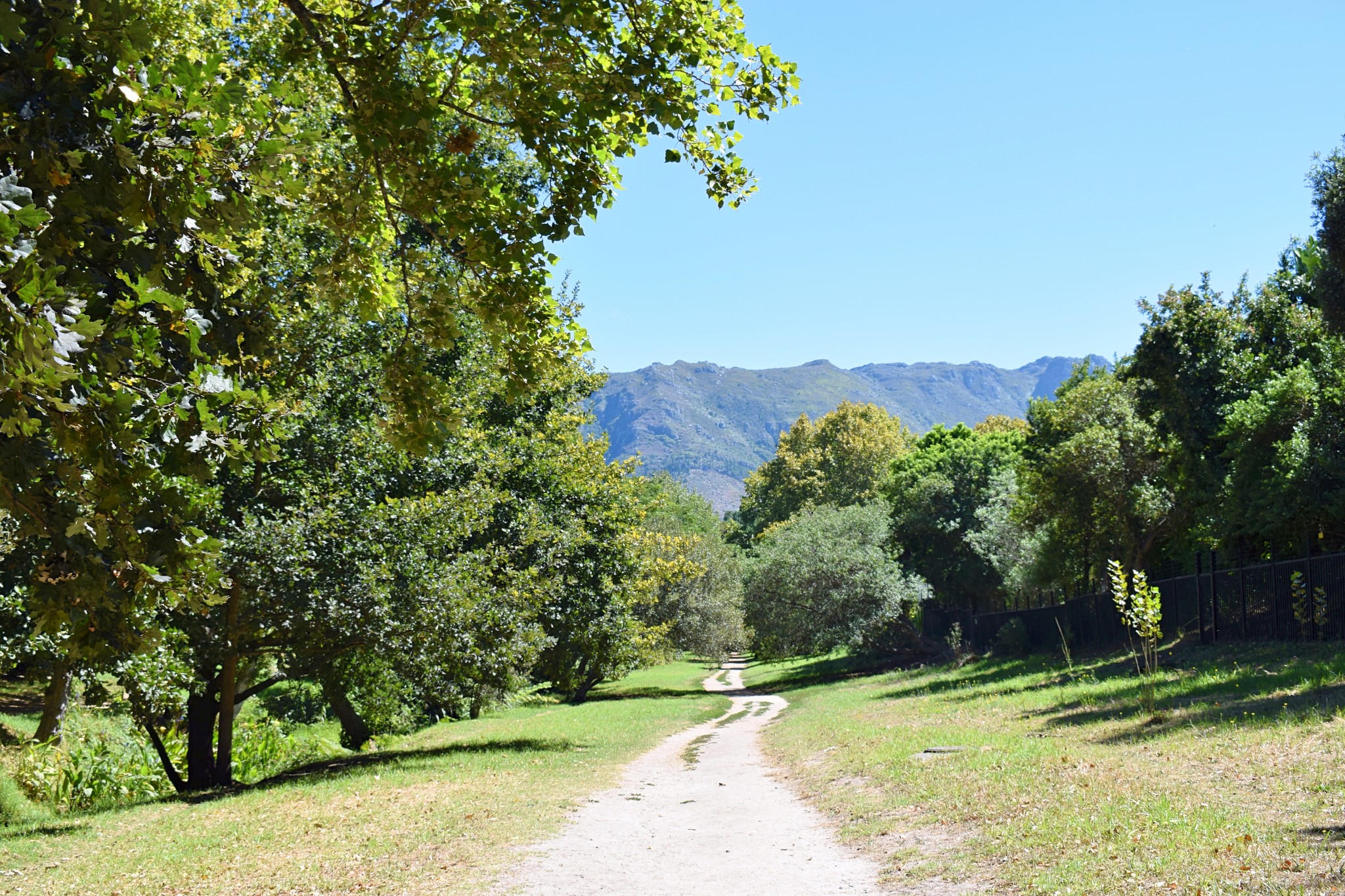 Alphen Trail, Constantia