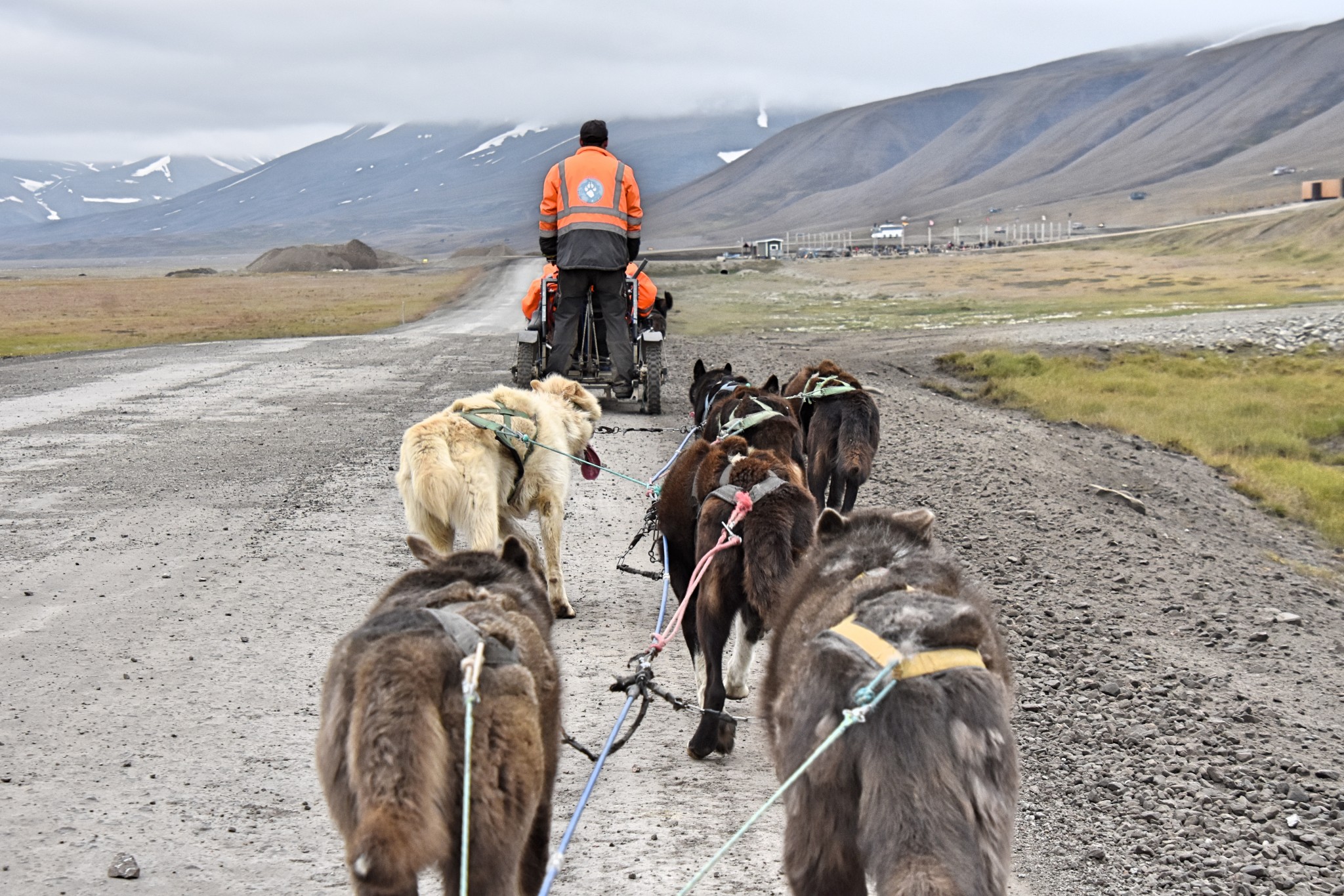 Schlittenhunde-Fahrt in Spitzbergen