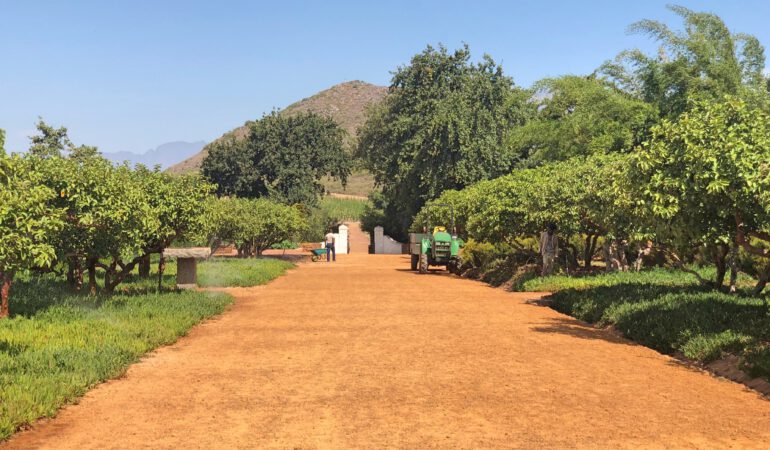 Kapstadt – Tagesausflug nach Stellenbosch