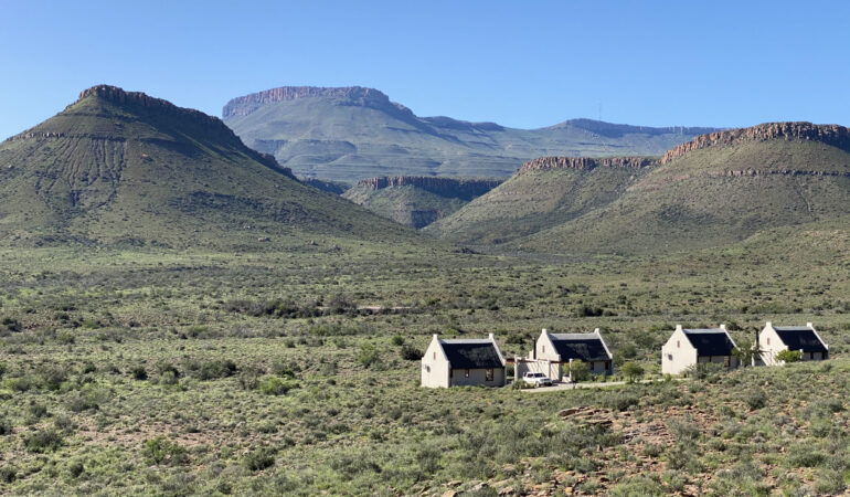 Südafrika – Safari im Karoo Nationalpark