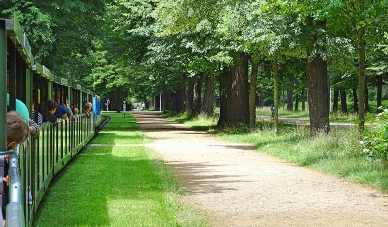 Dresden mit Kindern und Teenagern erkunden