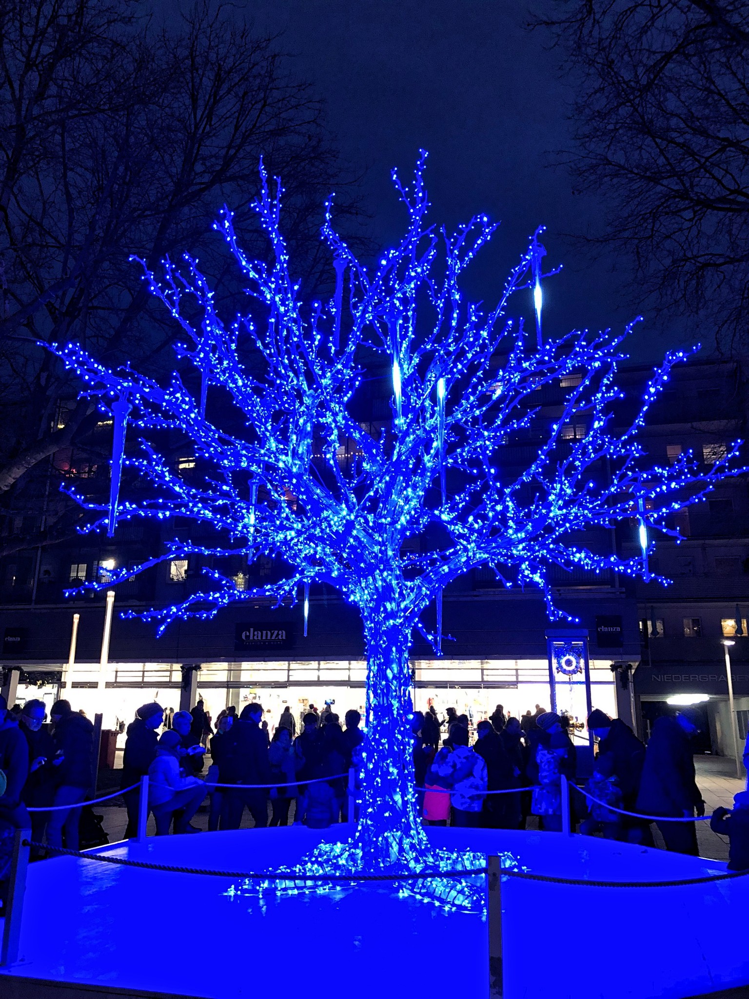 Der Blaue Baum